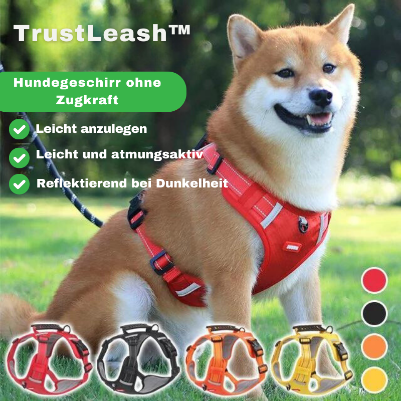 Lovandi TrustLeash™ - Sicherheit und Komfort für deinen Hund!