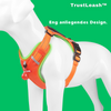 Lovandi TrustLeash™ - Sicherheit und Komfort für deinen Hund!