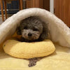 Lovandi PawfectPillow™ - Entspannt deinen Hund sofort!