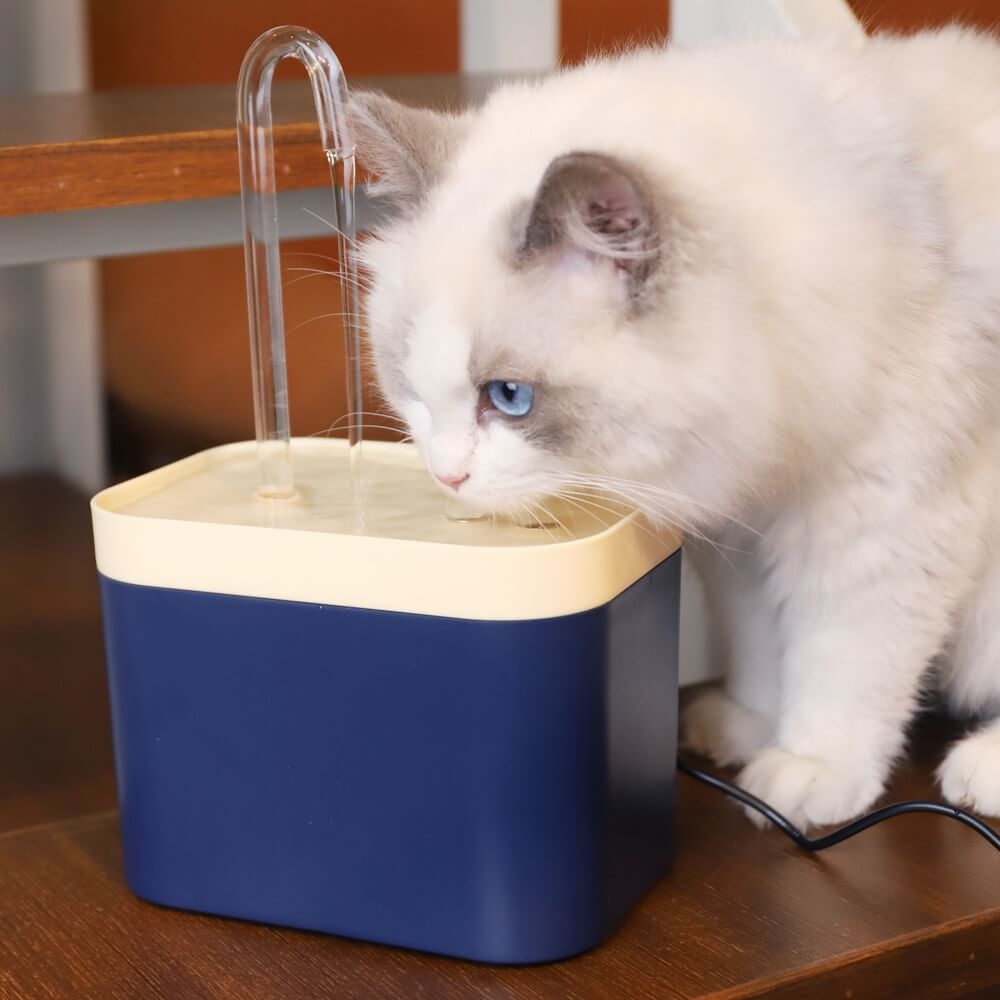 Lovandi EasyFountain™ - Der ideale Katzenbrunnen!